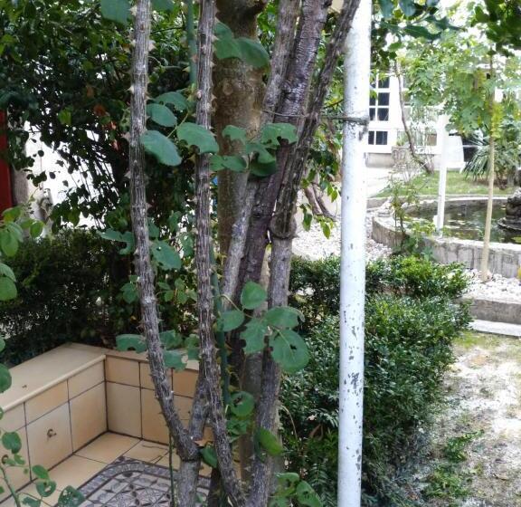 غرفة عائلية, Pension Albergue Don Alvaro