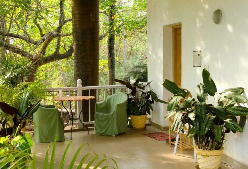 Quarto Estandar, Michele S Garden