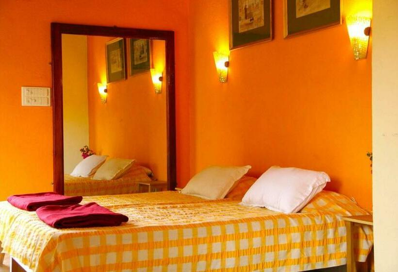 Quarto Estandar, Michele S Garden