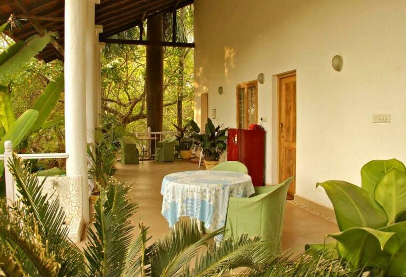 Quarto Estandar, Michele S Garden