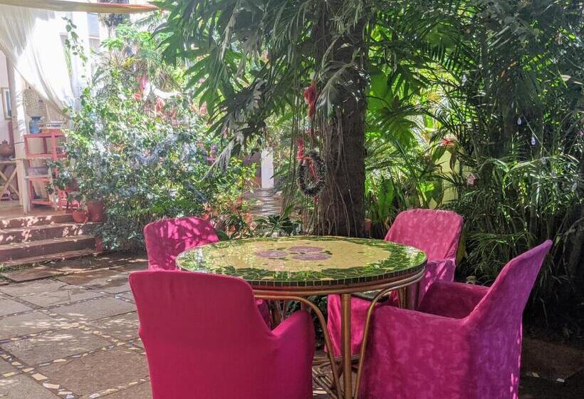 Quarto Estandar, Michele S Garden