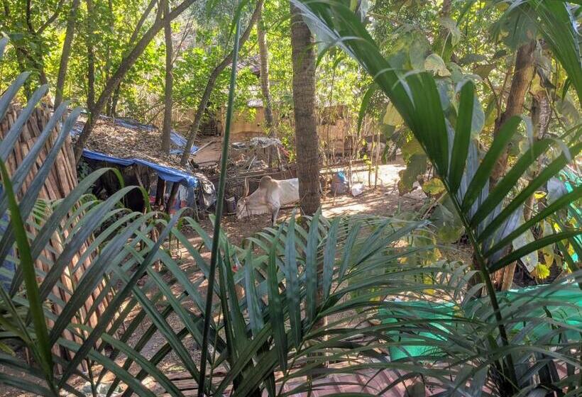 Quarto Estandar, Michele S Garden