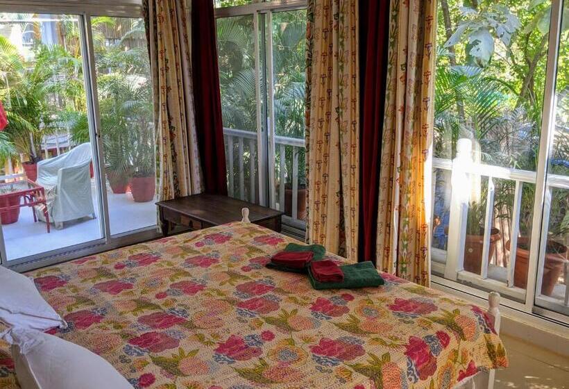 Quarto Estandar, Michele S Garden