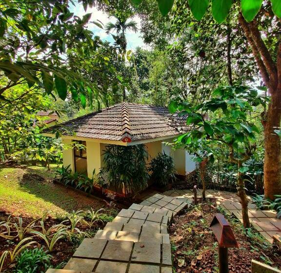 ‫فيلا غرفة نوم واحدة, Willow Resorts