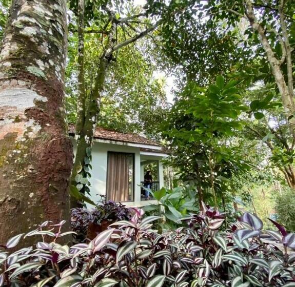 ‫فيلا غرفة نوم واحدة, Willow Resorts