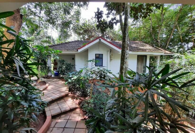 ‫فيلا غرفة نوم واحدة, Willow Resorts