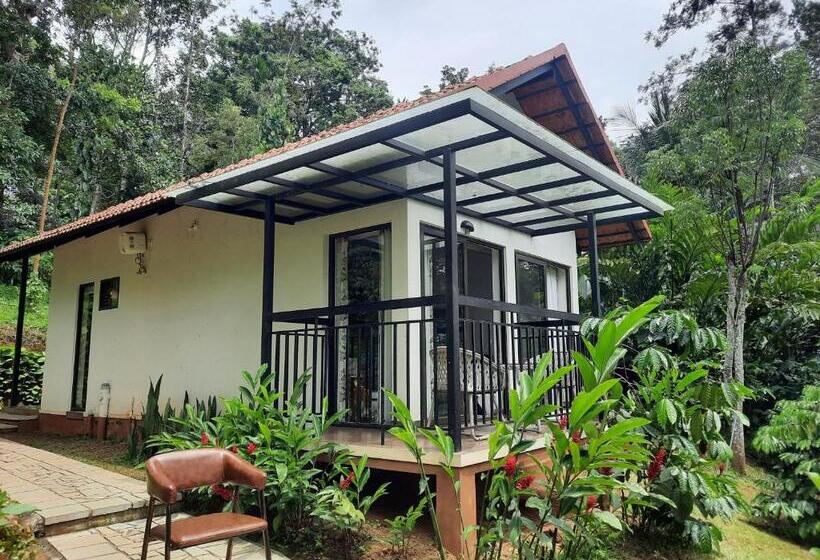 فيلا سوبيريور غرفة نوم واحدة, Willow Resorts