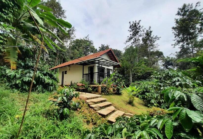 فيلا سوبيريور غرفة نوم واحدة, Willow Resorts