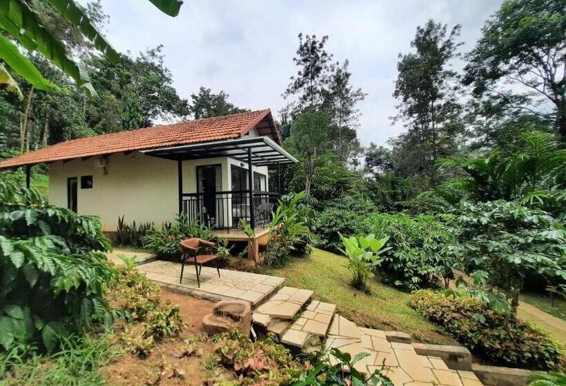 فيلا سوبيريور غرفة نوم واحدة, Willow Resorts