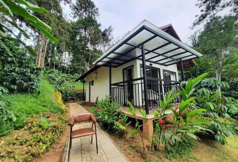 فيلا سوبيريور غرفة نوم واحدة, Willow Resorts