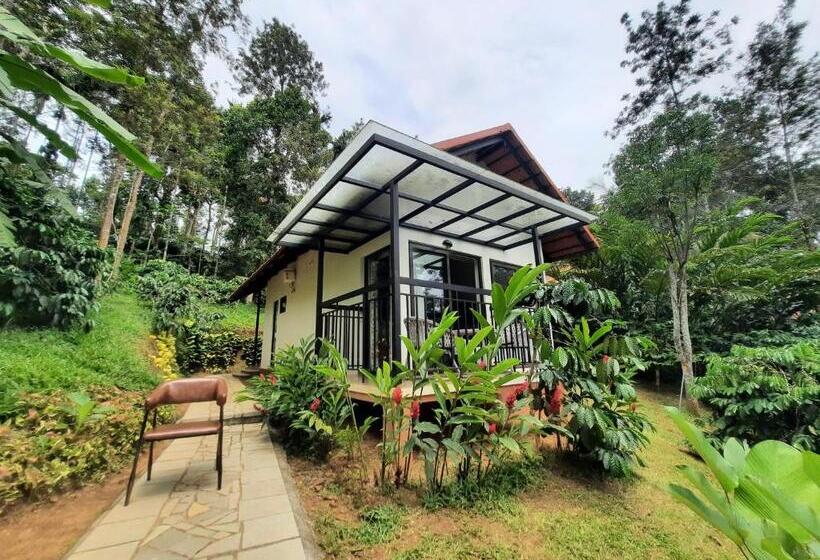 فيلا سوبيريور غرفة نوم واحدة, Willow Resorts