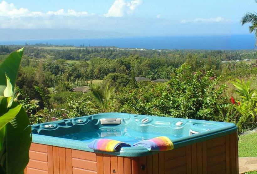 Suite, Adventure In Paradise