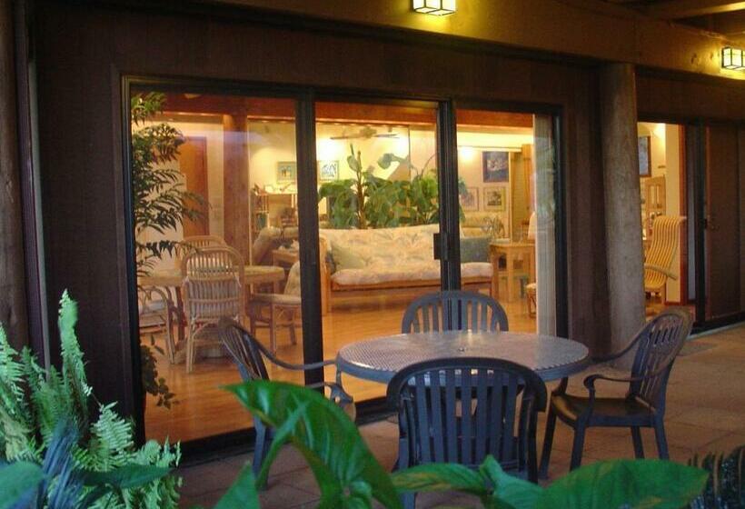 Suite, Adventure In Paradise