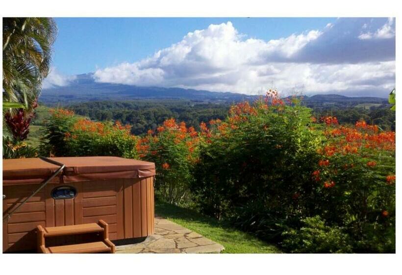 Suite, Adventure In Paradise