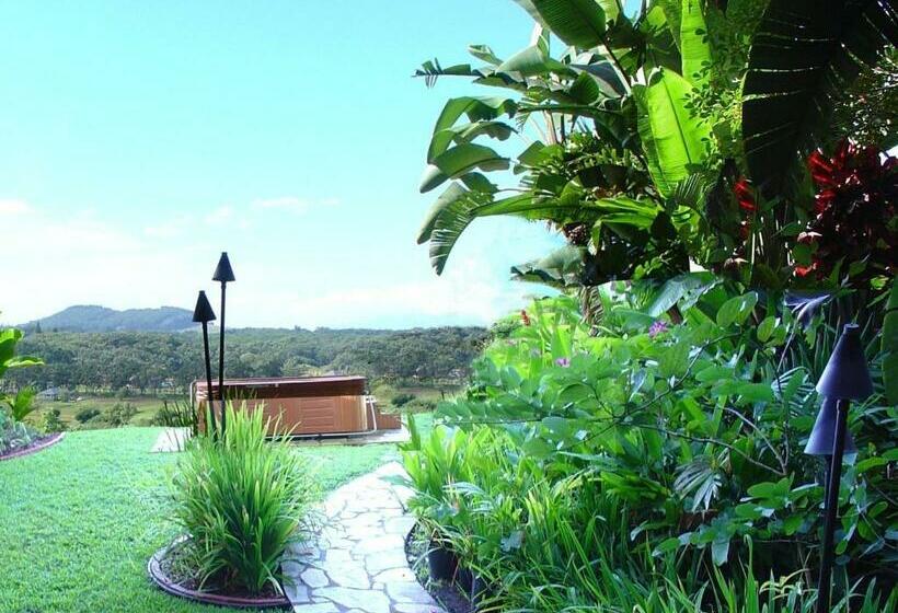 Suite, Adventure In Paradise