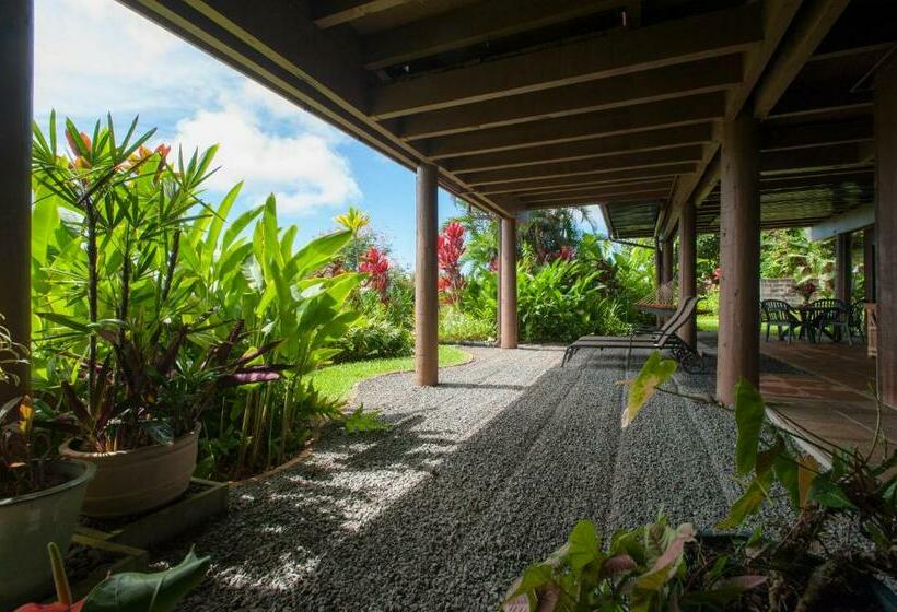 Suite, Adventure In Paradise