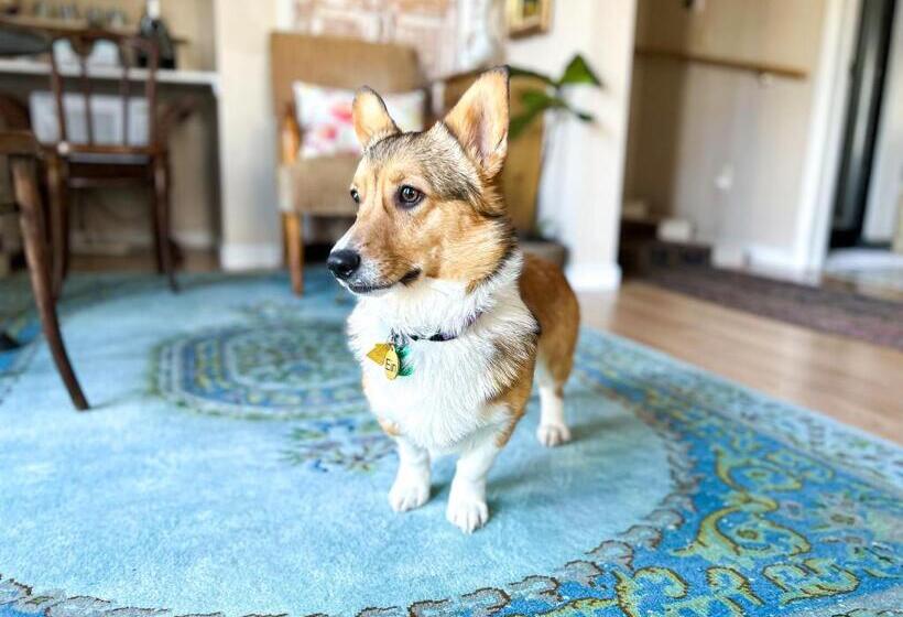 庭の見えるジュニアスイート, The Borland House Inn