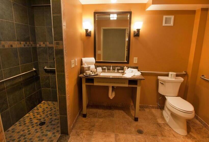 חדר סטנדרט מותאם לאדם עם מוגבלויות, 1000 Islands Harbor