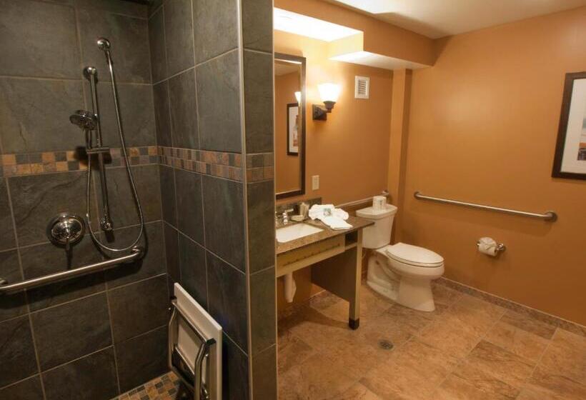 חדר סטנדרט מותאם לאדם עם מוגבלויות, 1000 Islands Harbor