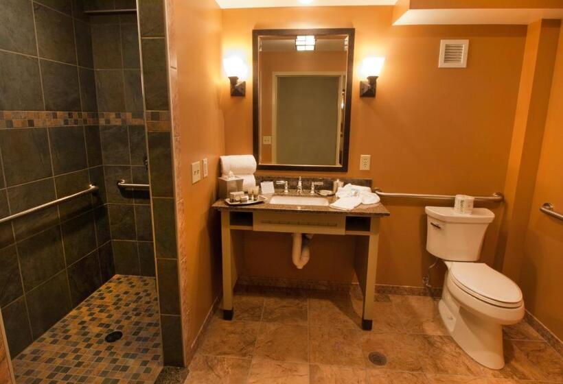 חדר סטנדרט מותאם לאדם עם מוגבלויות, 1000 Islands Harbor