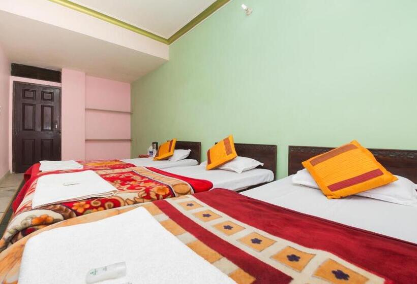 Кровать в Общей Комнате, Moonlight Homestay & Hostel