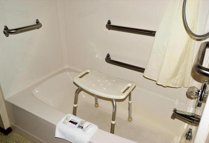 غرفة قياسية لذوى الاحتياجات الخاصة, Country Inn Libby