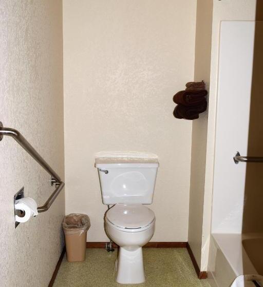 غرفة قياسية لذوى الاحتياجات الخاصة, Country Inn Libby