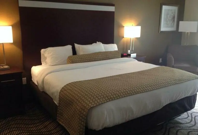 Standard-huone King-vuode, Executive Inn And Suites Jefferson
