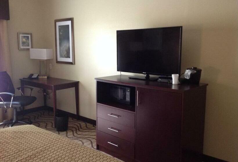带大床的标准间, Executive Inn And Suites Jefferson