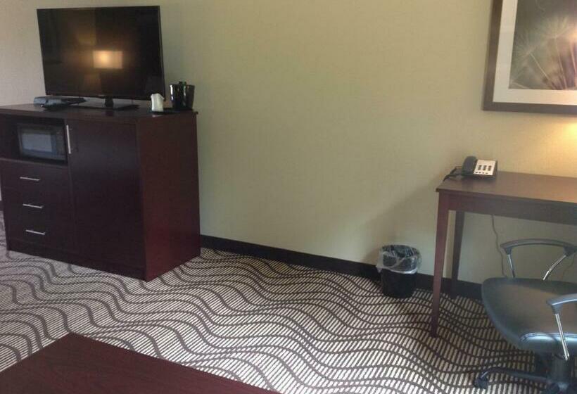 キングサイズベッドのスタンダードルーム, Executive Inn And Suites Jefferson