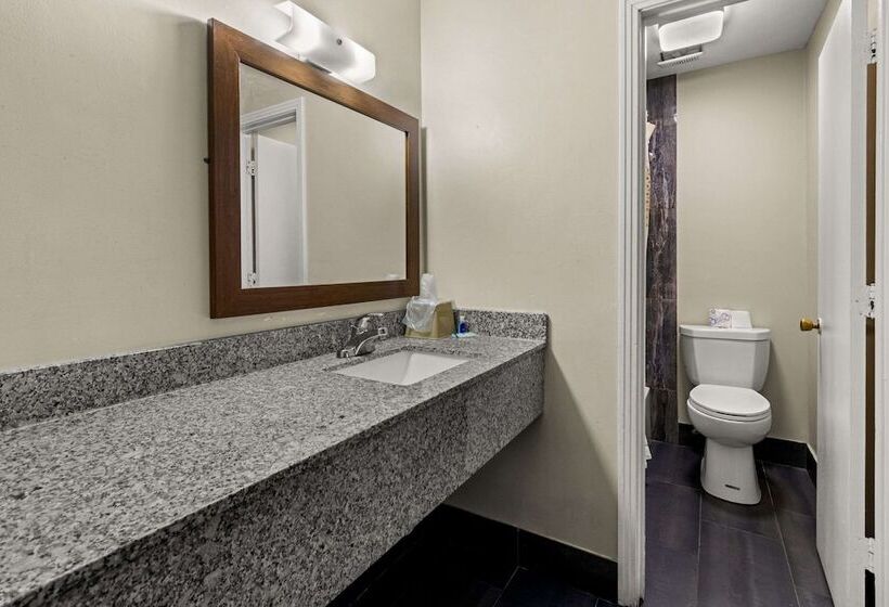 غرفه قياسيه سريرين مزدوجين, Rodeway Inn