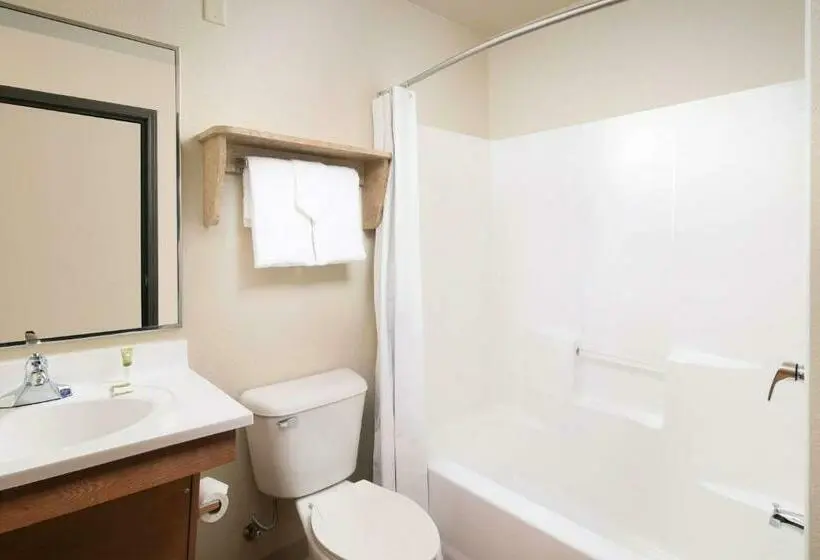 2ダブルベッドのスタンダードルーム, Woodspring Suites Spartanburg Duncan