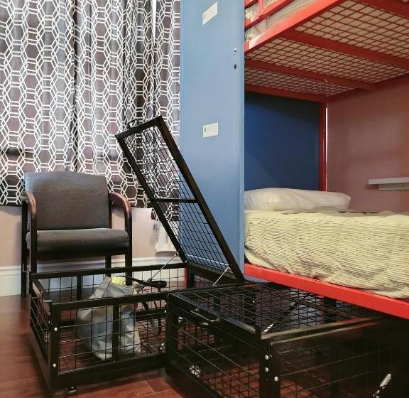 سرير فى غرفة مشتركة مزودة بحمام مشترك, Orange Village Hostel