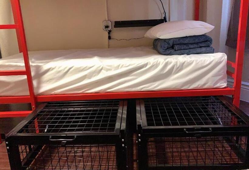 Cama em Quarto Partilhado com Casa de Banho partilhada, Orange Village Hostel