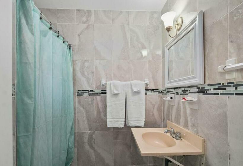 חדר סטנדרט עם מיטת קינג, Tamiami Motel