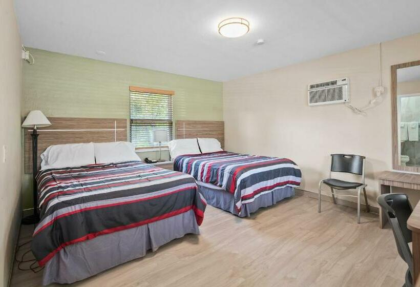 Номер Стандарт, Tamiami Motel