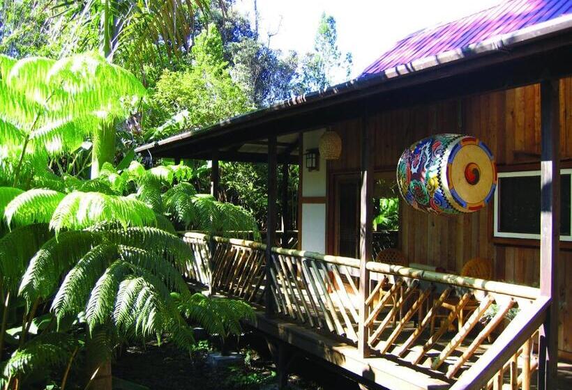 Люкс, Lotus Garden Cottages