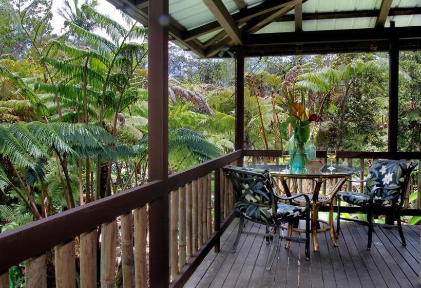 Люкс, Lotus Garden Cottages