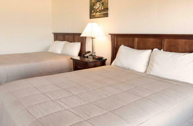 オーシャンビュースタンダードルーム, Copley Lareine Motel