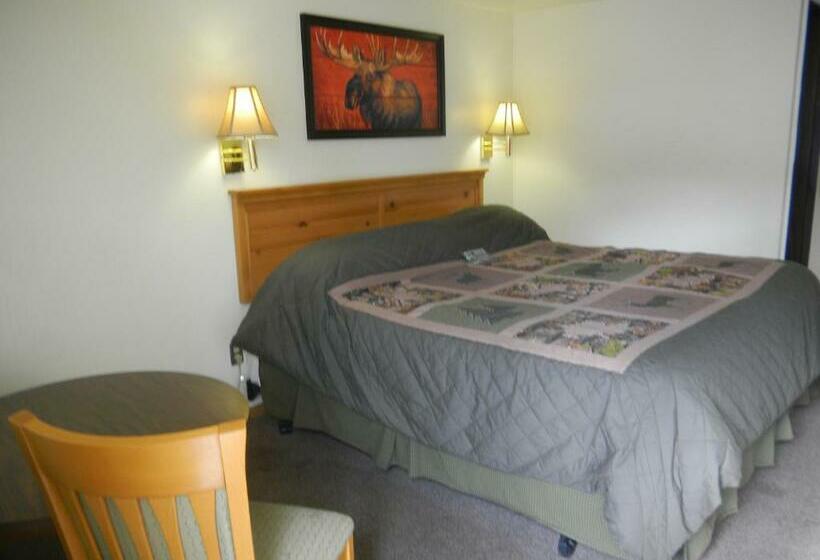 스탠다드 룸 킹사이즈 침대, Falls Motel