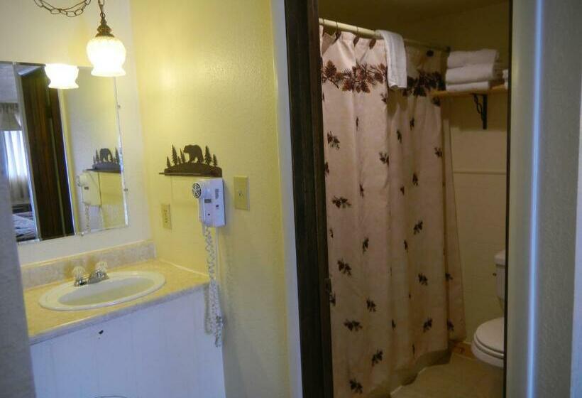 스탠다드 룸 킹사이즈 침대, Falls Motel