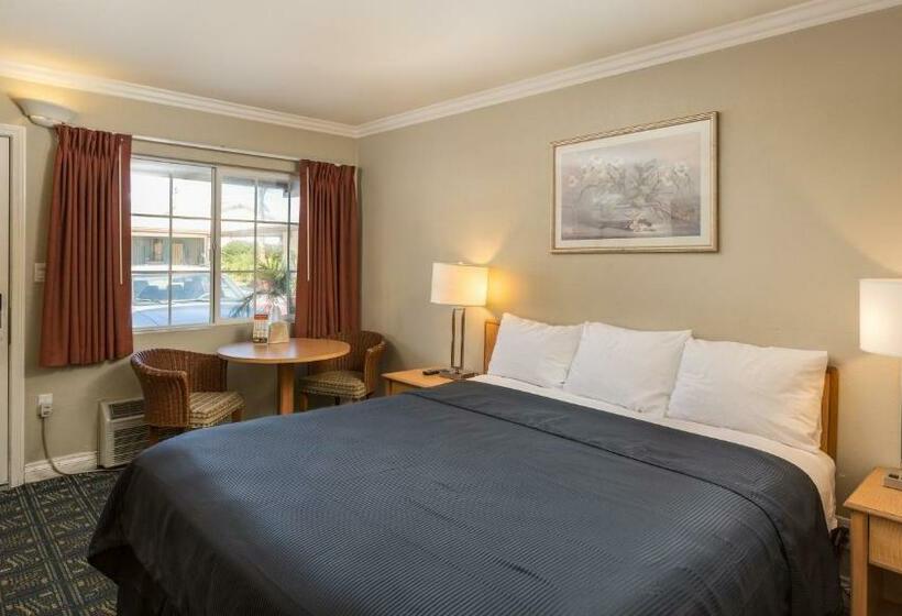 اتاق استاندارد, Harbor Motel