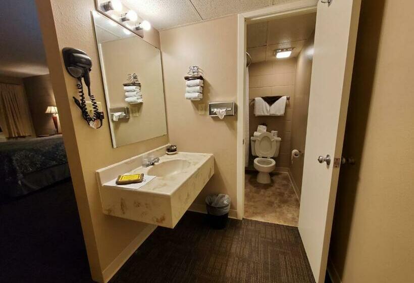 غرفة قياسية سرير كينج, Kansas Country Inn