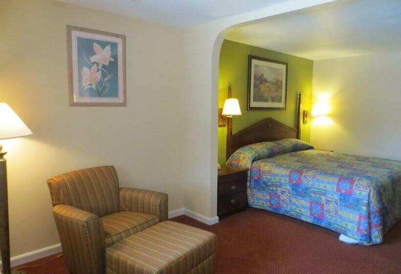 إستوديو قياسى سرير كينج, Pleasanton Executive Inn