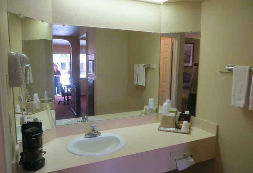 غرفة قياسية, Pleasanton Executive Inn