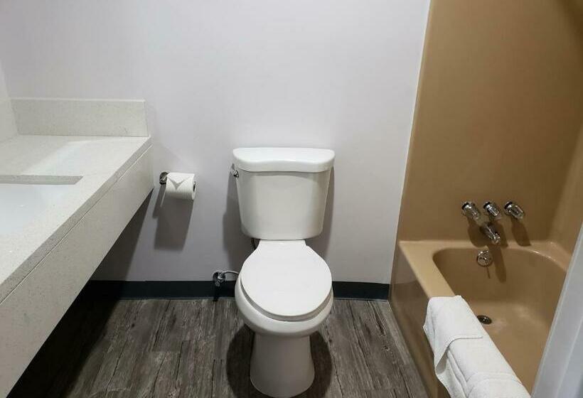 غرفة قياسية سرير كينج, Regal Inn