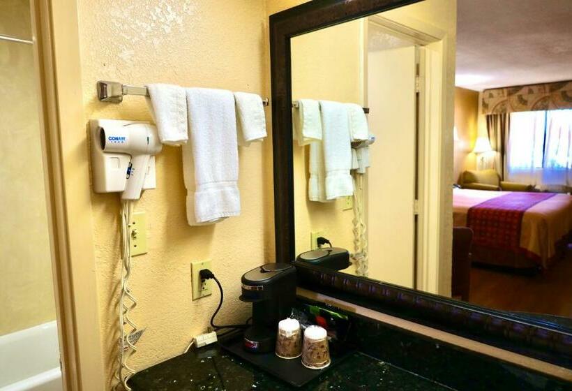 스탠다드 룸 킹사이즈 침대, Regency Inn & Suites