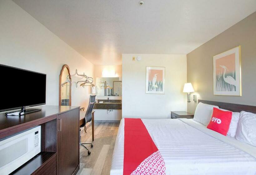 غرفة قياسية سرير كينج, OYO Woodland Hotel and Suites