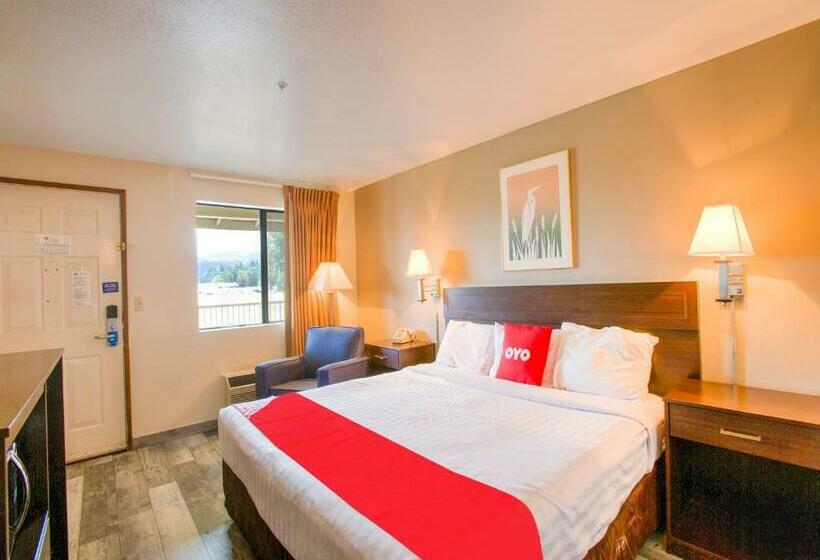 غرفة قياسية سرير كينج, OYO Woodland Hotel and Suites