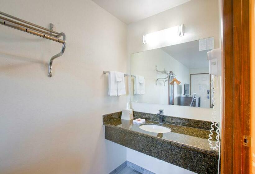 غرفة قياسية سرير كينج, OYO Woodland Hotel and Suites